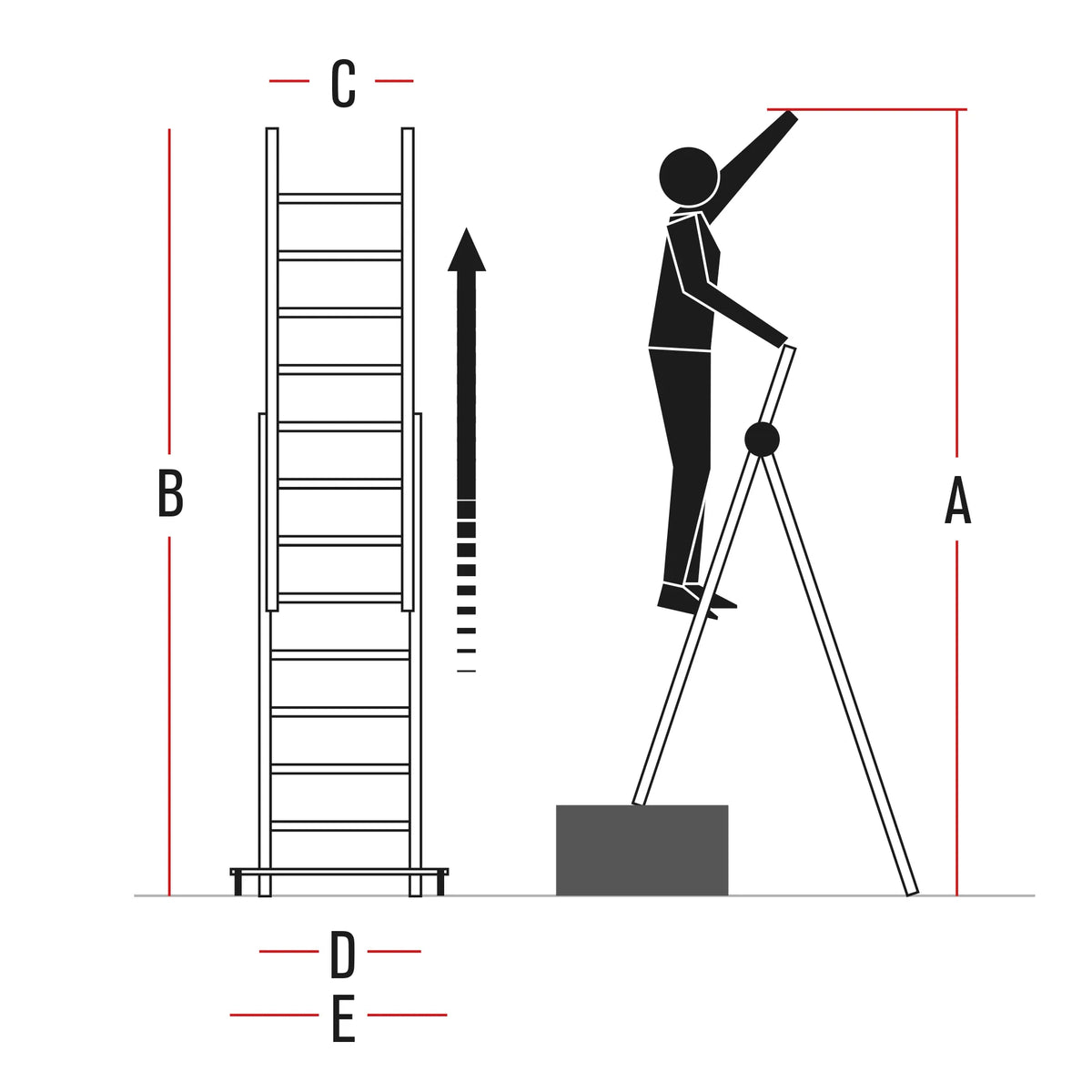Immagine della scheda tecnica del prodotto ST.2N - Scala professionale in alluminio multiuso 2 elementi